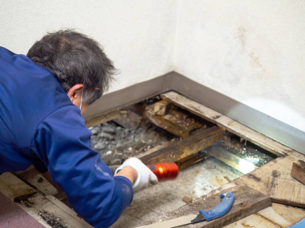 Best Crawl Space Mold Removal  in Munroe Falls, OH
