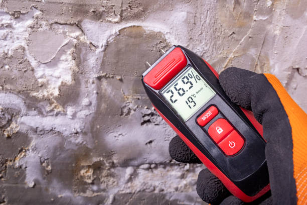 Best Black Mold Removal  in Munroe Falls, OH