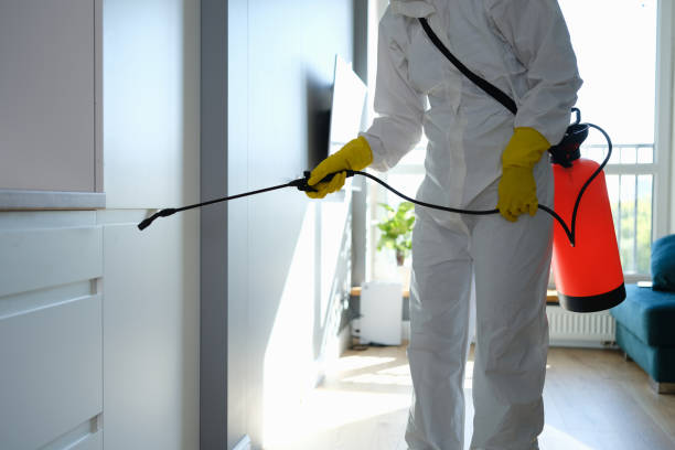 Best Office Mold Removal Services  in Munroe Falls, OH