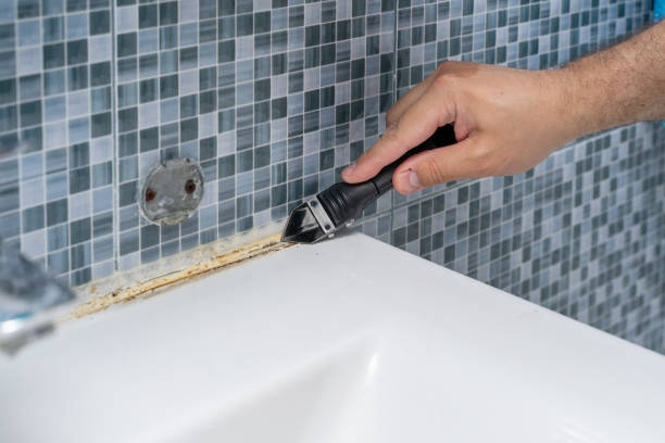 Best Best Mold Removal Companies  in Munroe Falls, OH